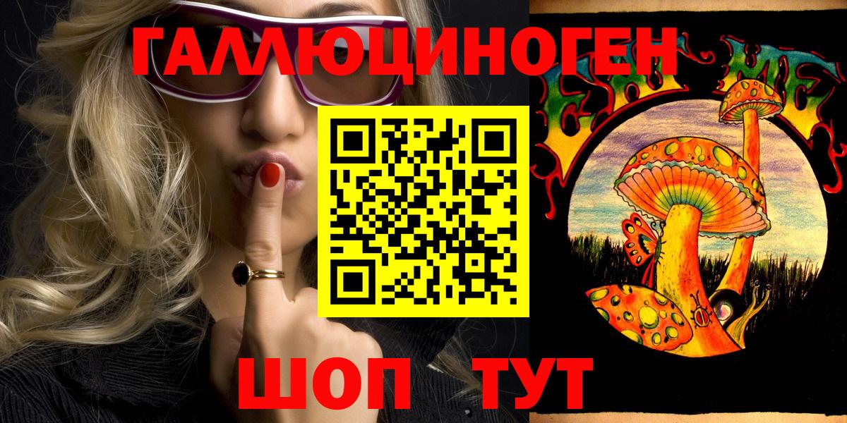 купить наркотик  Вход с VPN  Железноводск  Галлюциногенные грибы Psilocybine cubensis 